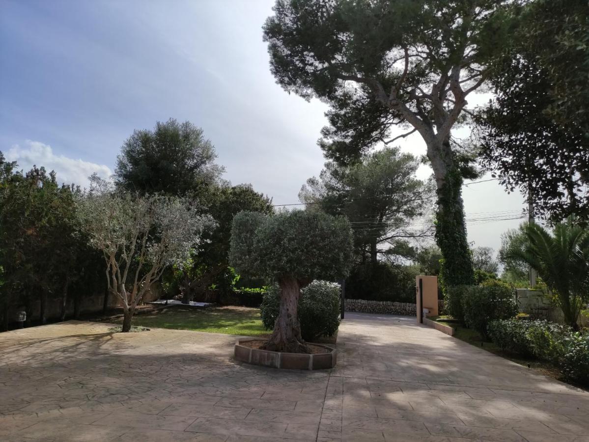 VILLA MESTRAL, reformada 2022 Alcúdia Exterior foto