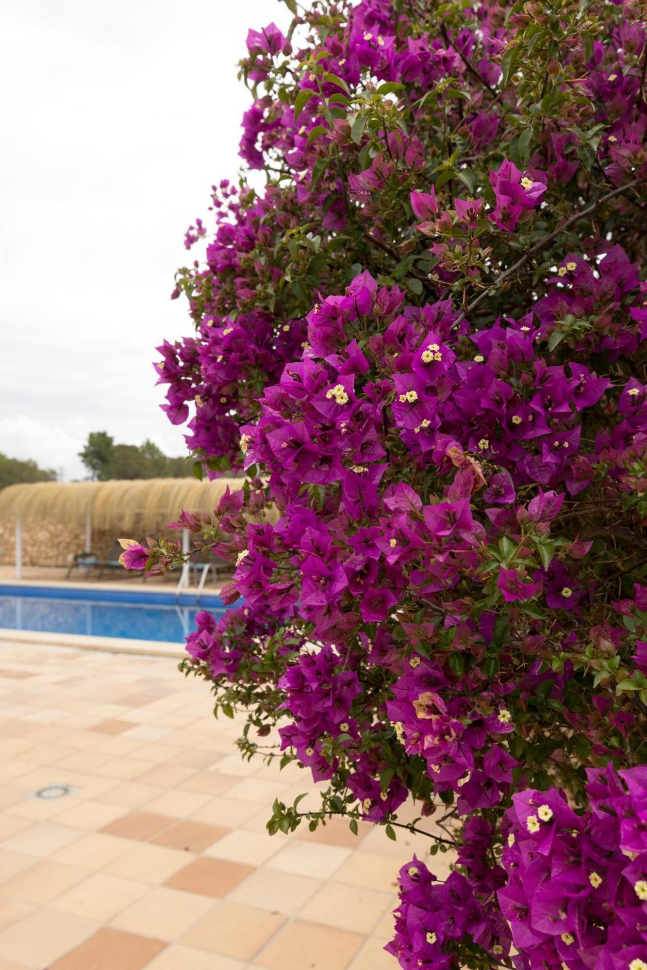 VILLA MESTRAL, reformada 2022 Alcúdia Exterior foto